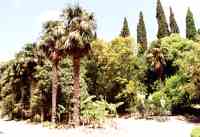 Botanischer Garten - zum Vergrößern anklicken