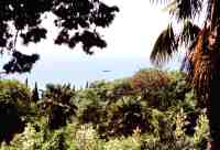 Botanischer Garten - zum Vergrößern anklicken