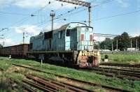 TEM7A-0285 in Bagley